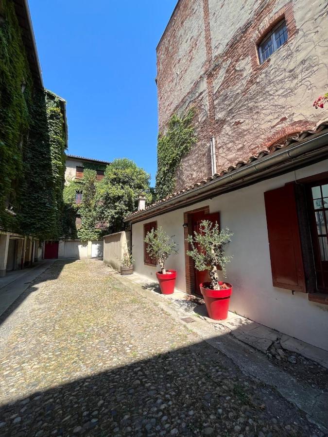 Petite Chartreuse Calme En Plein Coeur De Toulouse 아파트 외부 사진